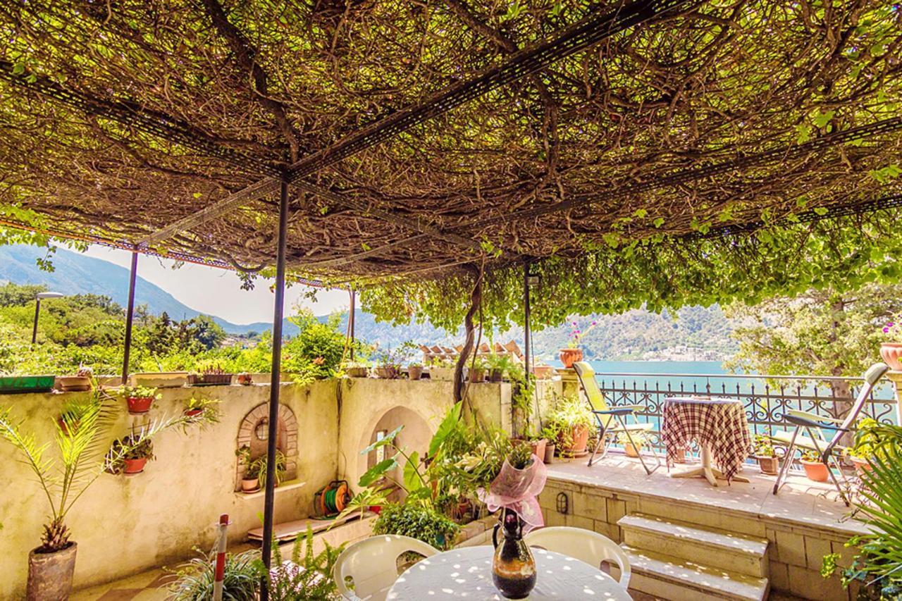 Villa Donkovic Kotor Exterior foto